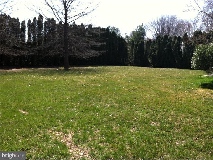 325 Greene Road Warminster, PA 18974 - Photo 3 of 10 Back Yard