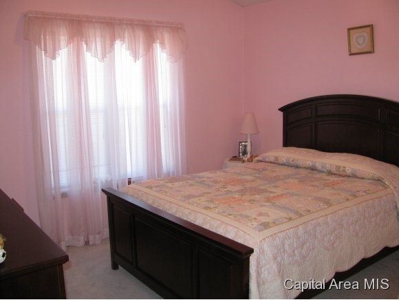 8480 Oak Crest Road Dawson, IL 62520 - Photo 8 of 11 Gallery Image 8