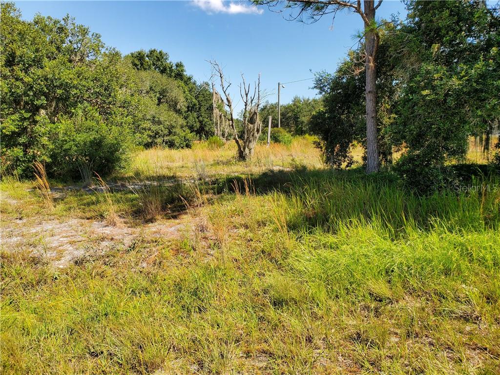 5208 Ruth Morris Road Wimauma, FL 33598 - Photo 1 of 1 Gallery Image 1