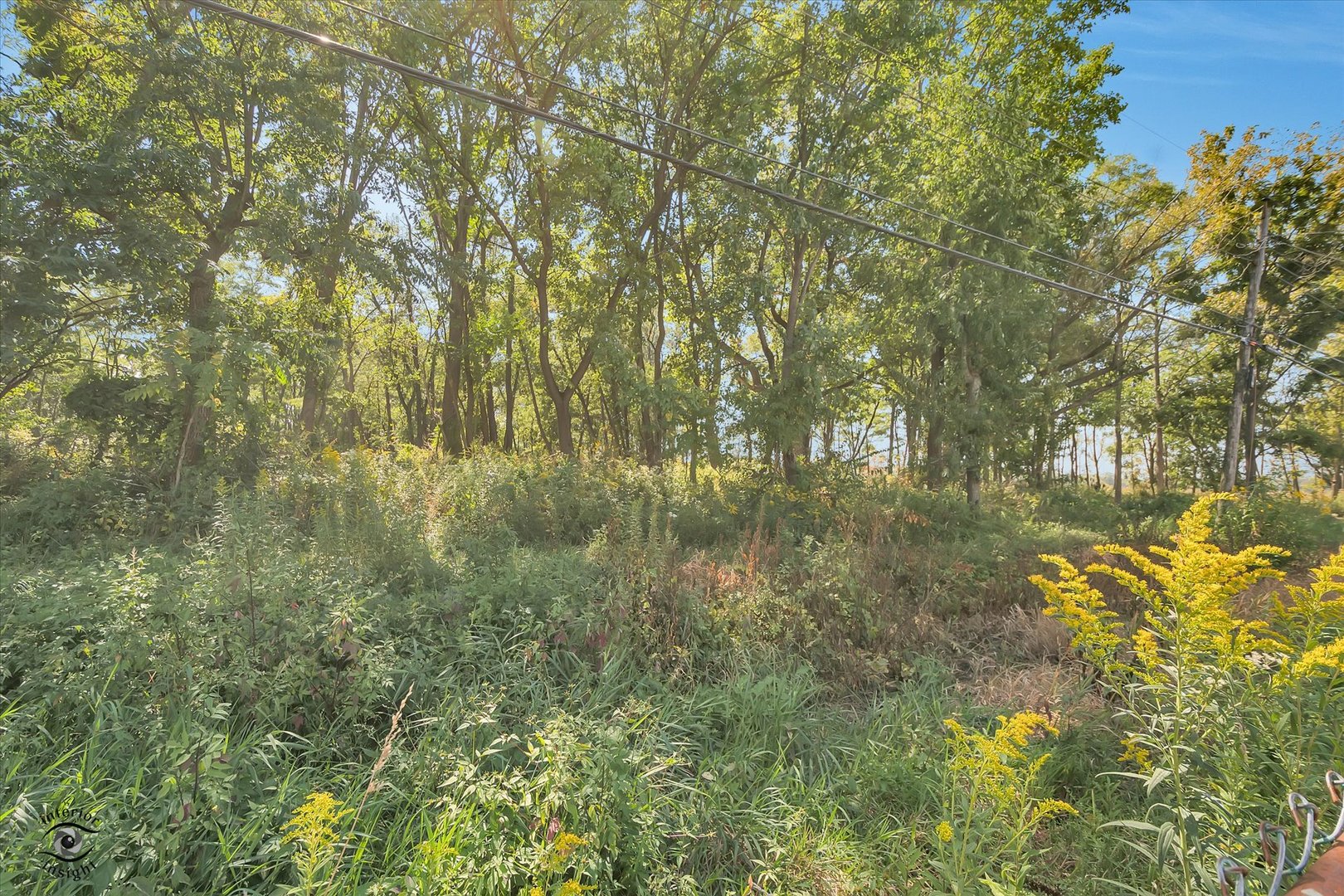 3257 Magnolia Drive Markham, IL 60428 - Photo 26 of 26 a view of a yard