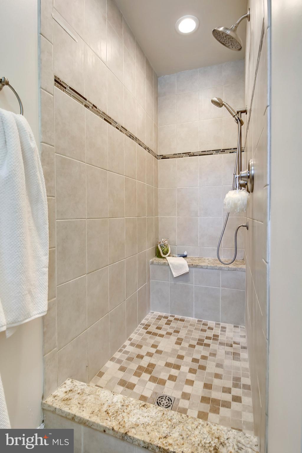 206 Wayne Avenue Silver Spring, MD 20910 - Photo 14 of 29 Over sized Shower- multi shower heads