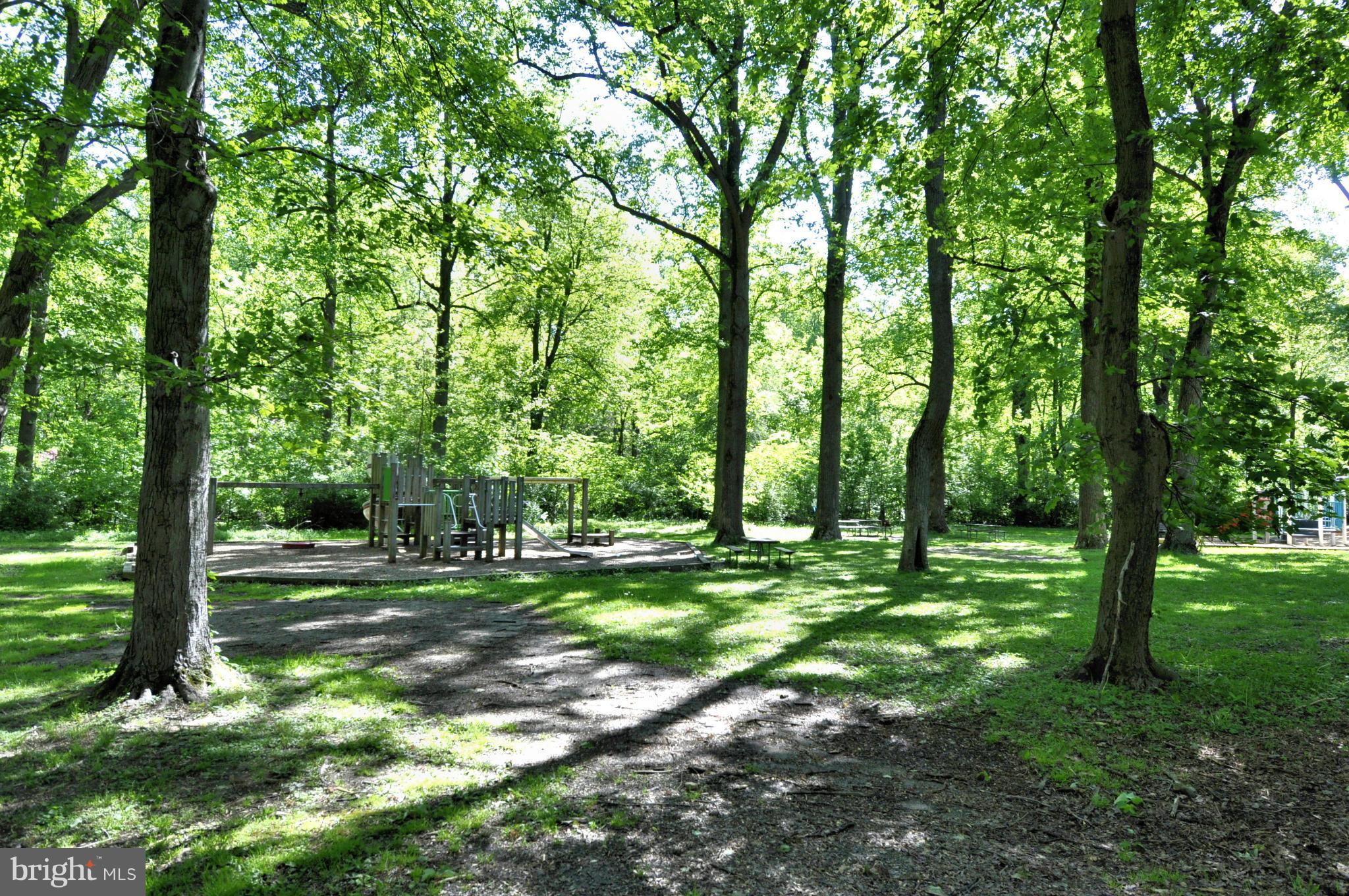 206 Wayne Avenue Silver Spring, MD 20910 - Photo 27 of 29 Local Park- across street