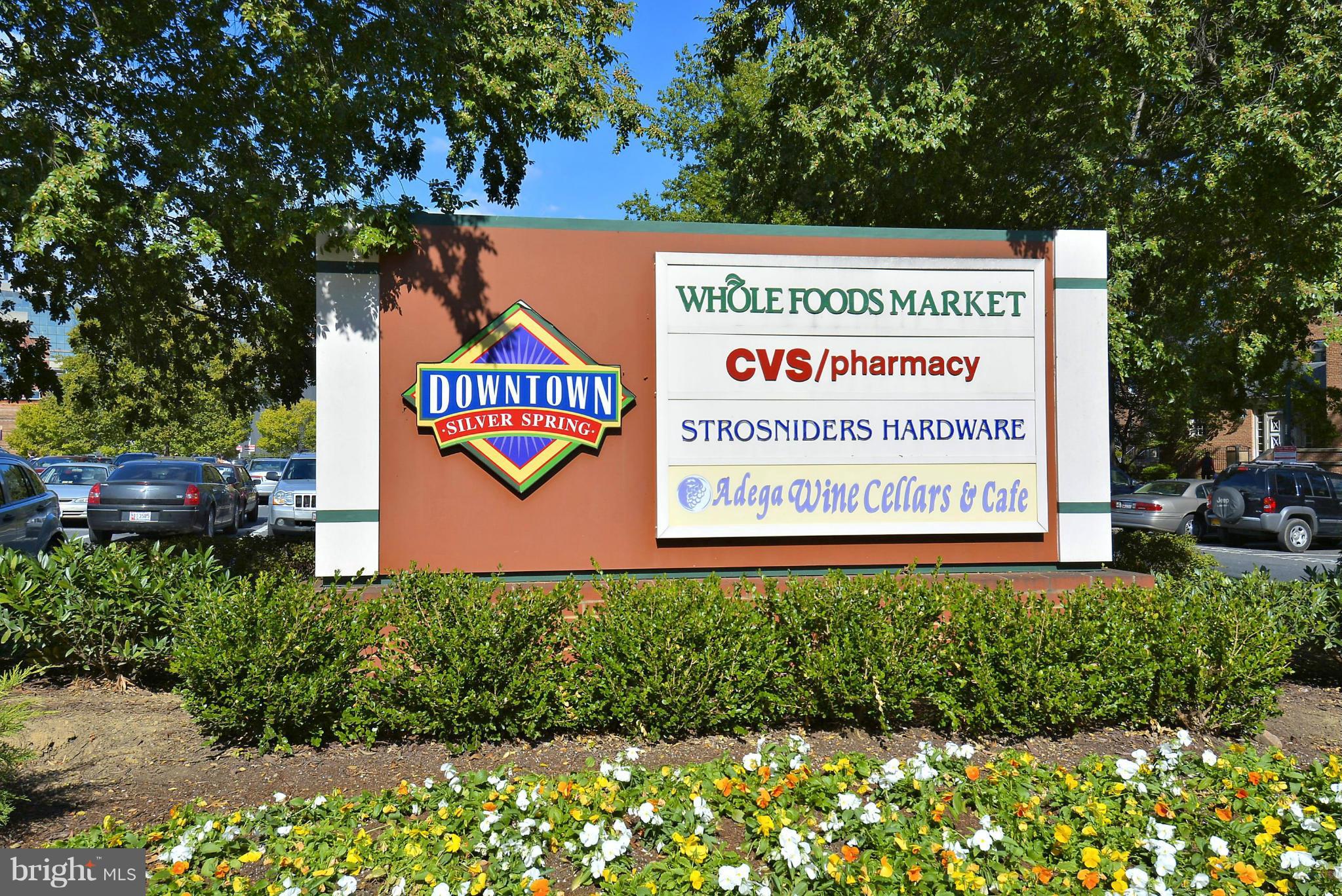 206 Wayne Avenue Silver Spring, MD 20910 - Photo 28 of 29 Local Grocery Store