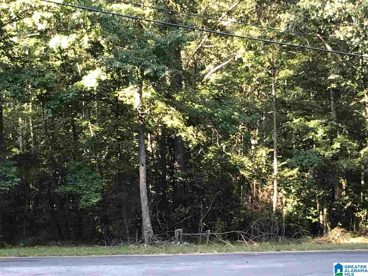 East Sunset Boulevard, Unit 131 Oneonta, AL 35121 - Photo 2 of 3
