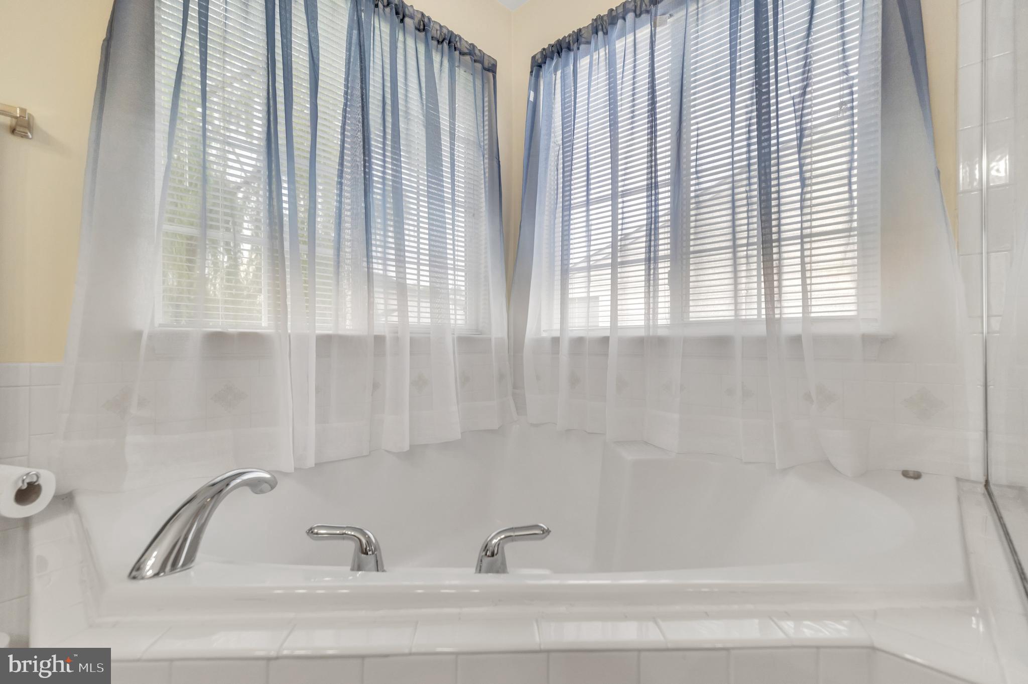 9879 Upper Mill Loop Bristow, VA 20136 - Photo 25 of 32 Soaking tub w/ windows for natural light