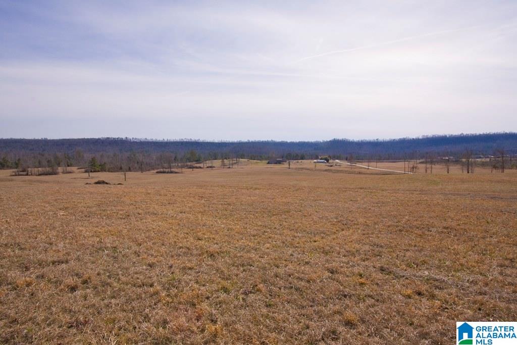 8295 Shoal Creek Road Ashville, AL 35953 - Photo 36 of 41