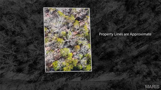 $7,000 | 10314 Lake Hill Trail, Hillsboro, MO 63050