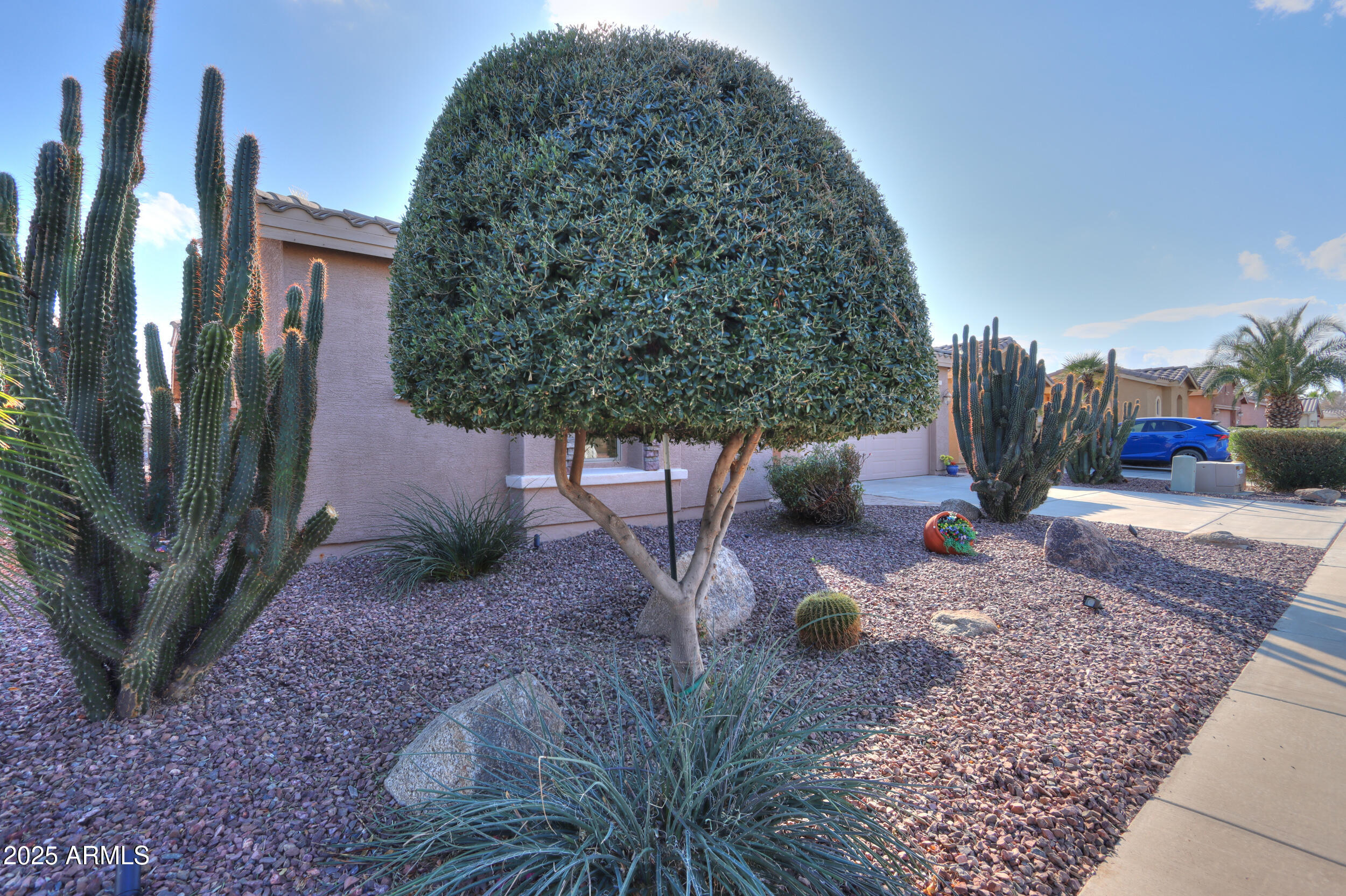 42413 Abbey Road Maricopa, AZ 85138 - Photo 20 of 114 Low maintenance landscaping