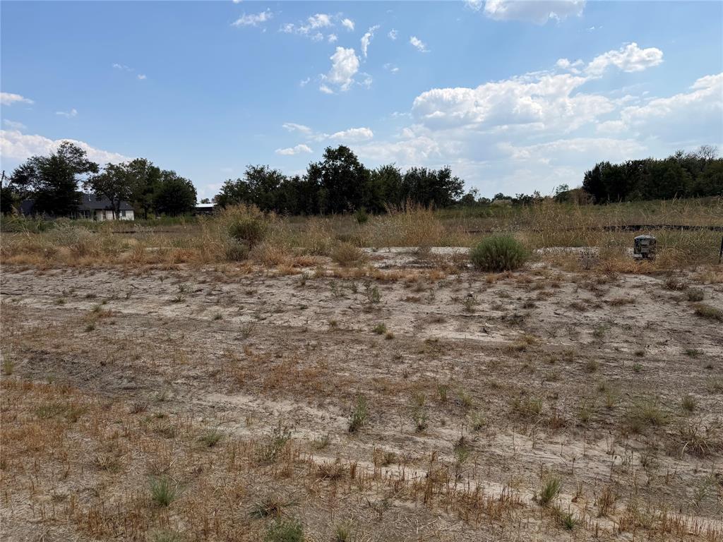 Lot 2 Co Road Farmersville, TX 75442 - Photo 5 of 12 Additional content