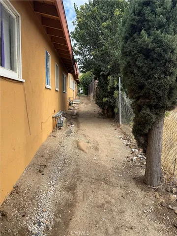 a view of a tree in a yard
