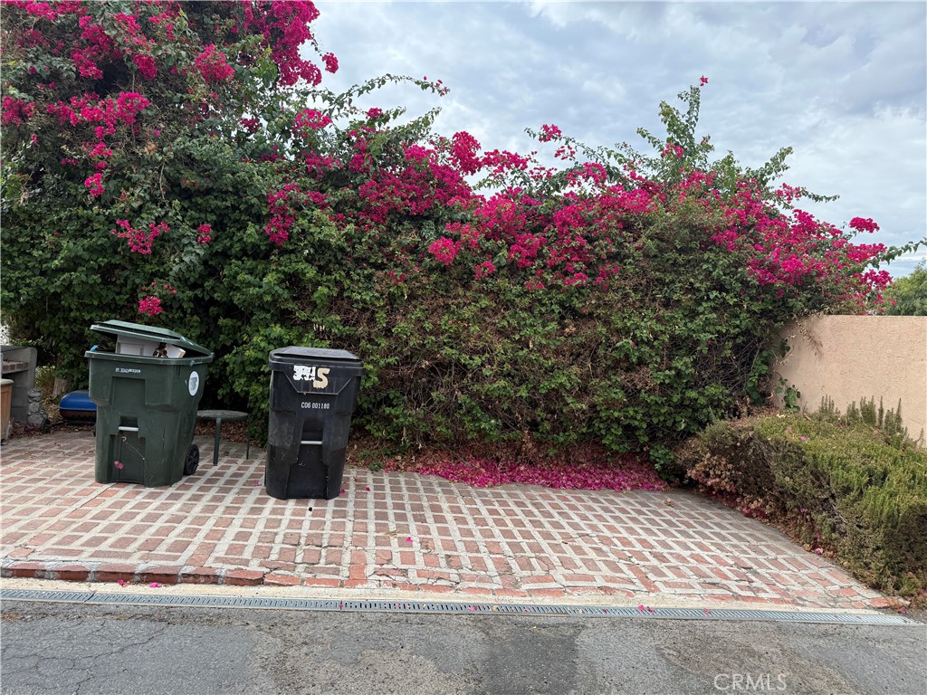 12102 Preston Street Grand Terrace, CA 92313 - Photo 19 of 20 a view of a potted plant sitting in front of a house