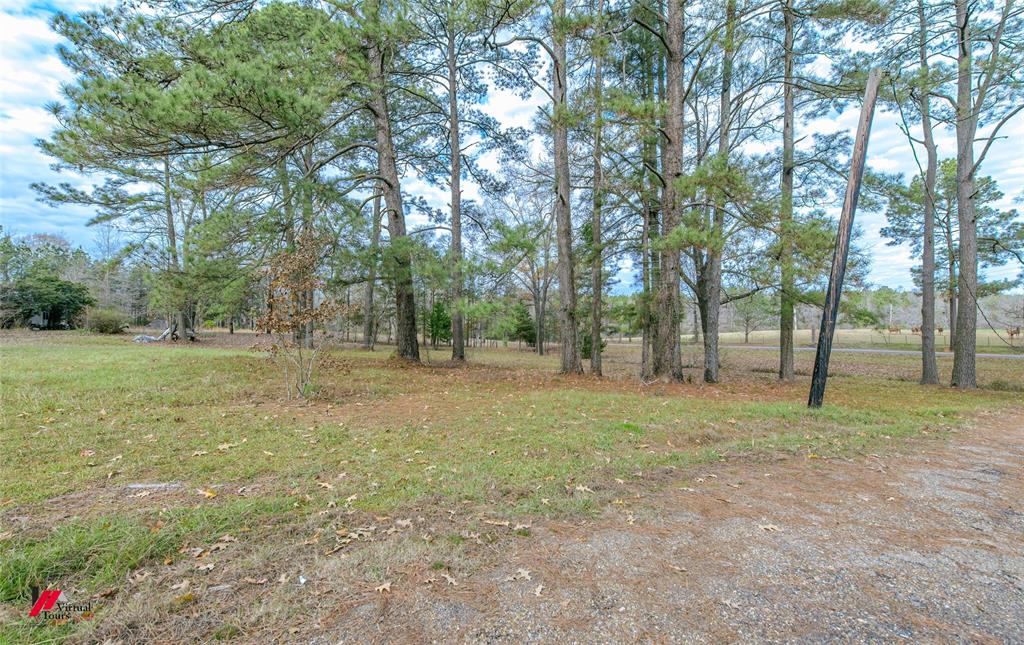 179 Daniel Thomas Road Springhill, LA 71075 - Photo 23 of 37 View of yard
