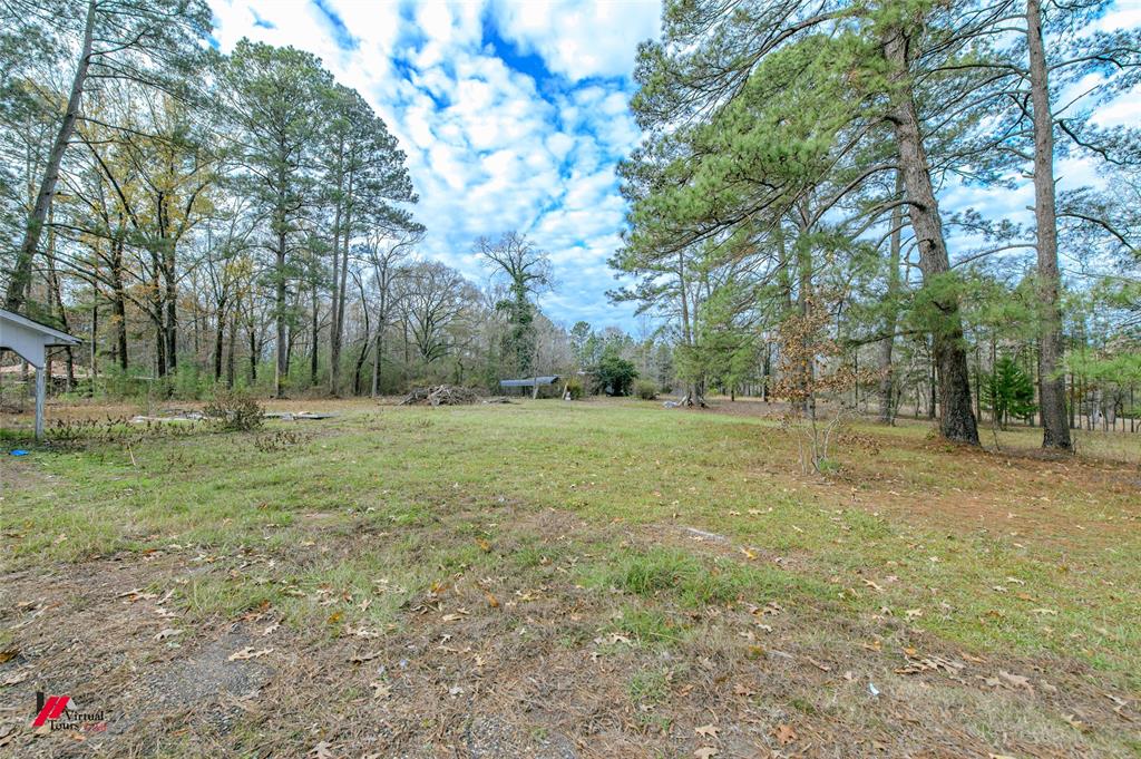 179 Daniel Thomas Road Springhill, LA 71075 - Photo 25 of 37 View of yard