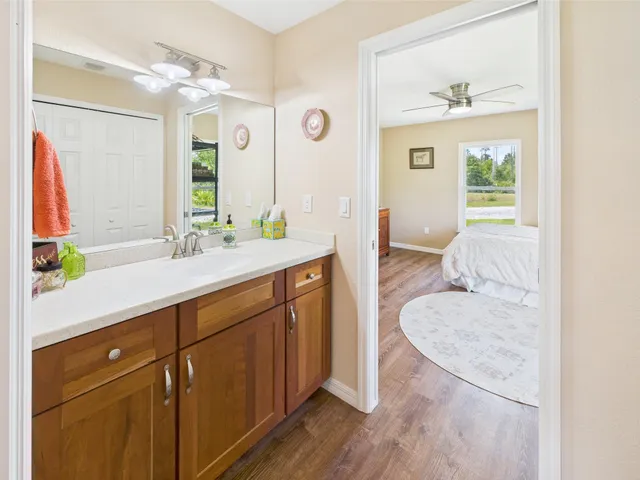 a view of a park with trees and grass