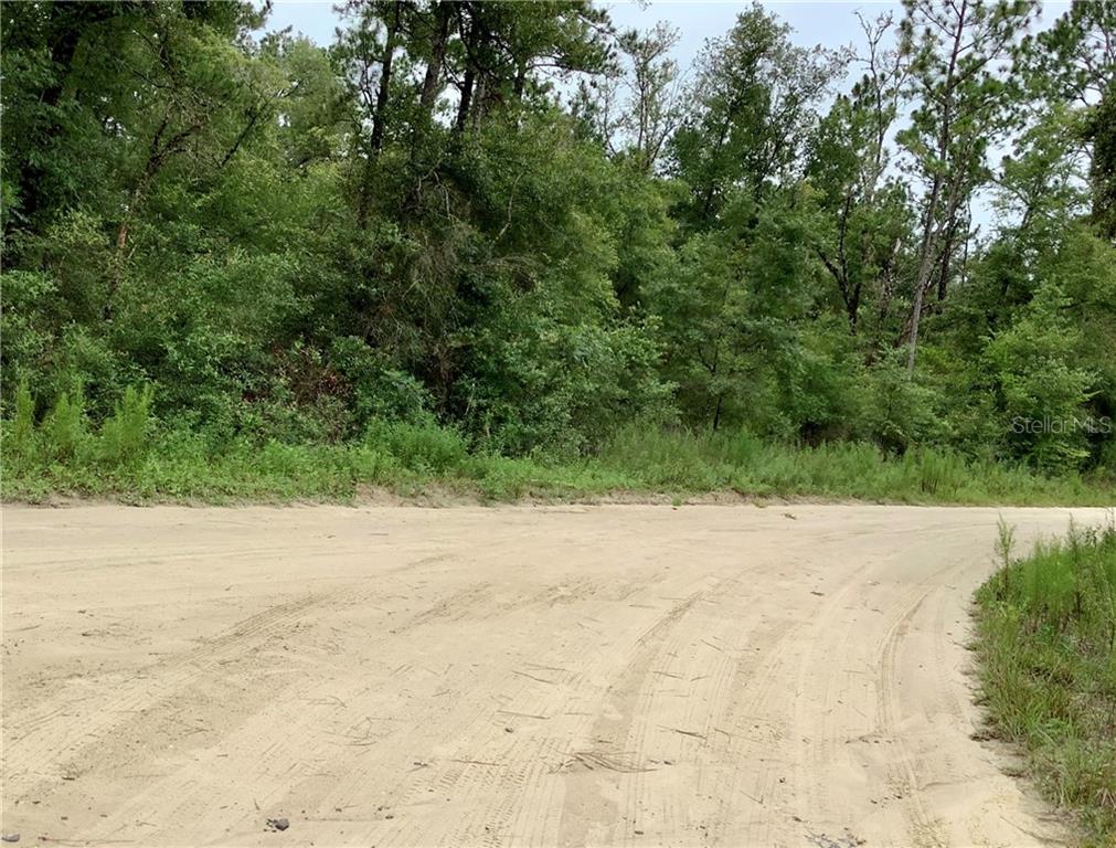 40 Southwest 40th Place Road Ocala, FL 34481 - Photo 1 of 1
