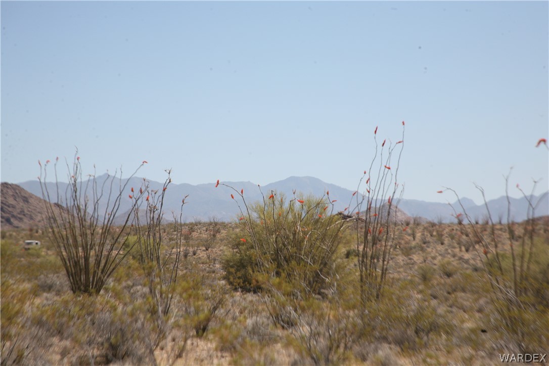 245-24-067a Lorton Road Yucca, AZ 86438 - Photo 11 of 42