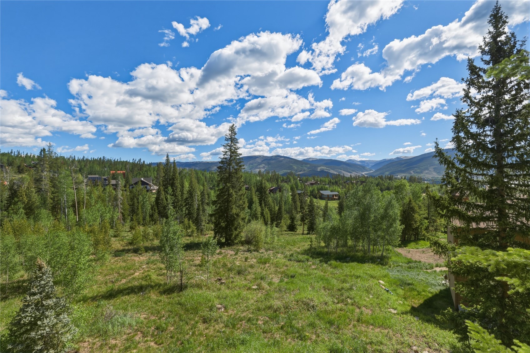 6726 Ryan Gulch Road, Unit 6726 Wildernest, CO 80498 - Photo 12 of 39 a view of a bunch of trees in a yard
