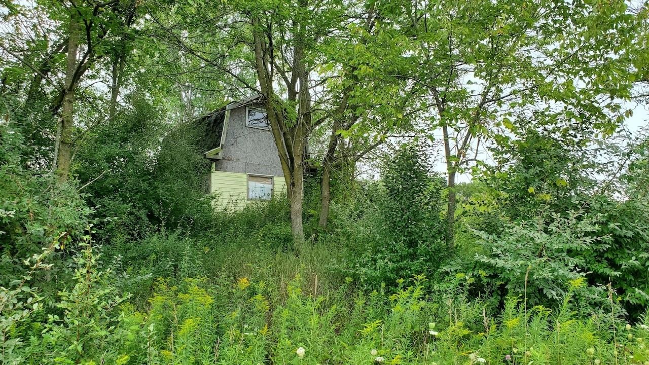 2791 East Remick Road Shepherd, MI 48883 - Photo 3 of 12
