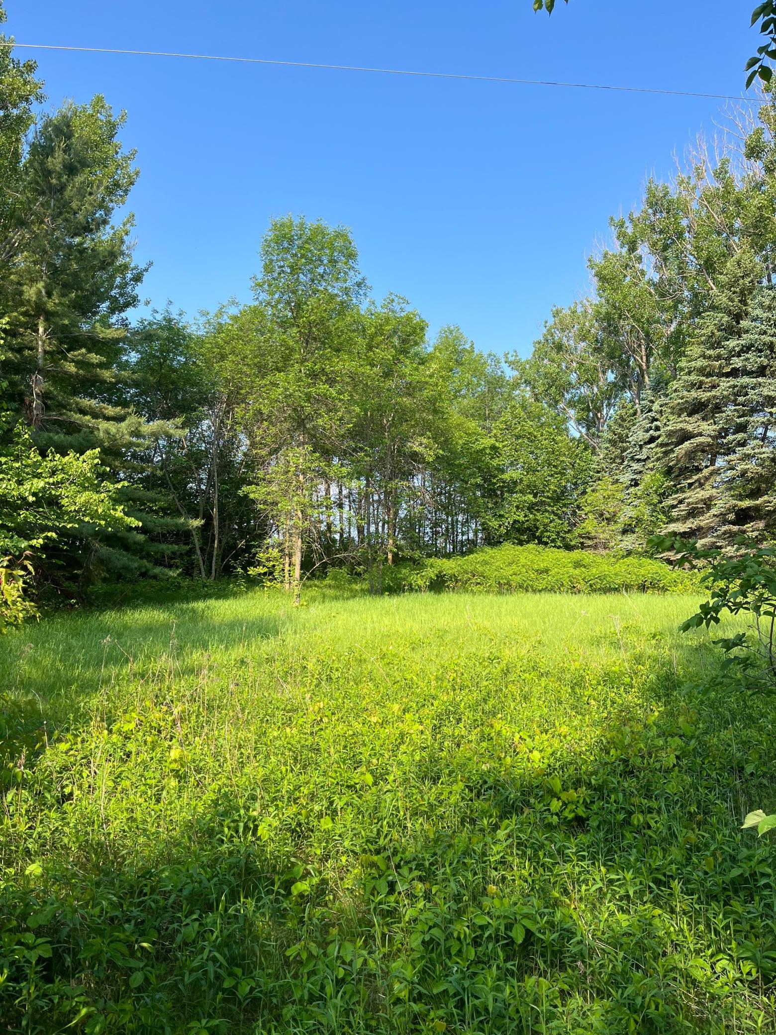 Tbd Wild Rose Trail Frazee, MN 56544 - Photo 1 of 25