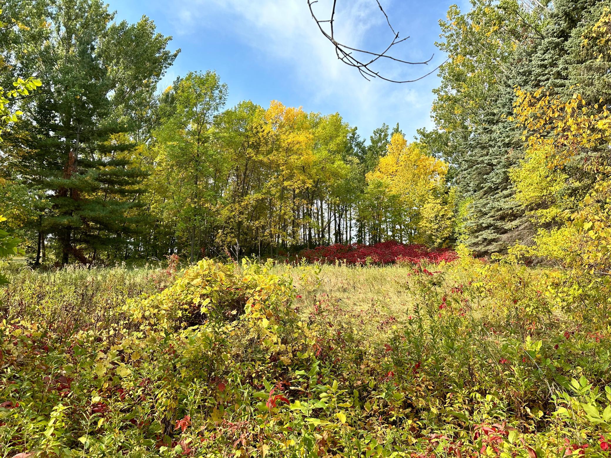 Tbd Wild Rose Trail Frazee, MN 56544 - Photo 17 of 25