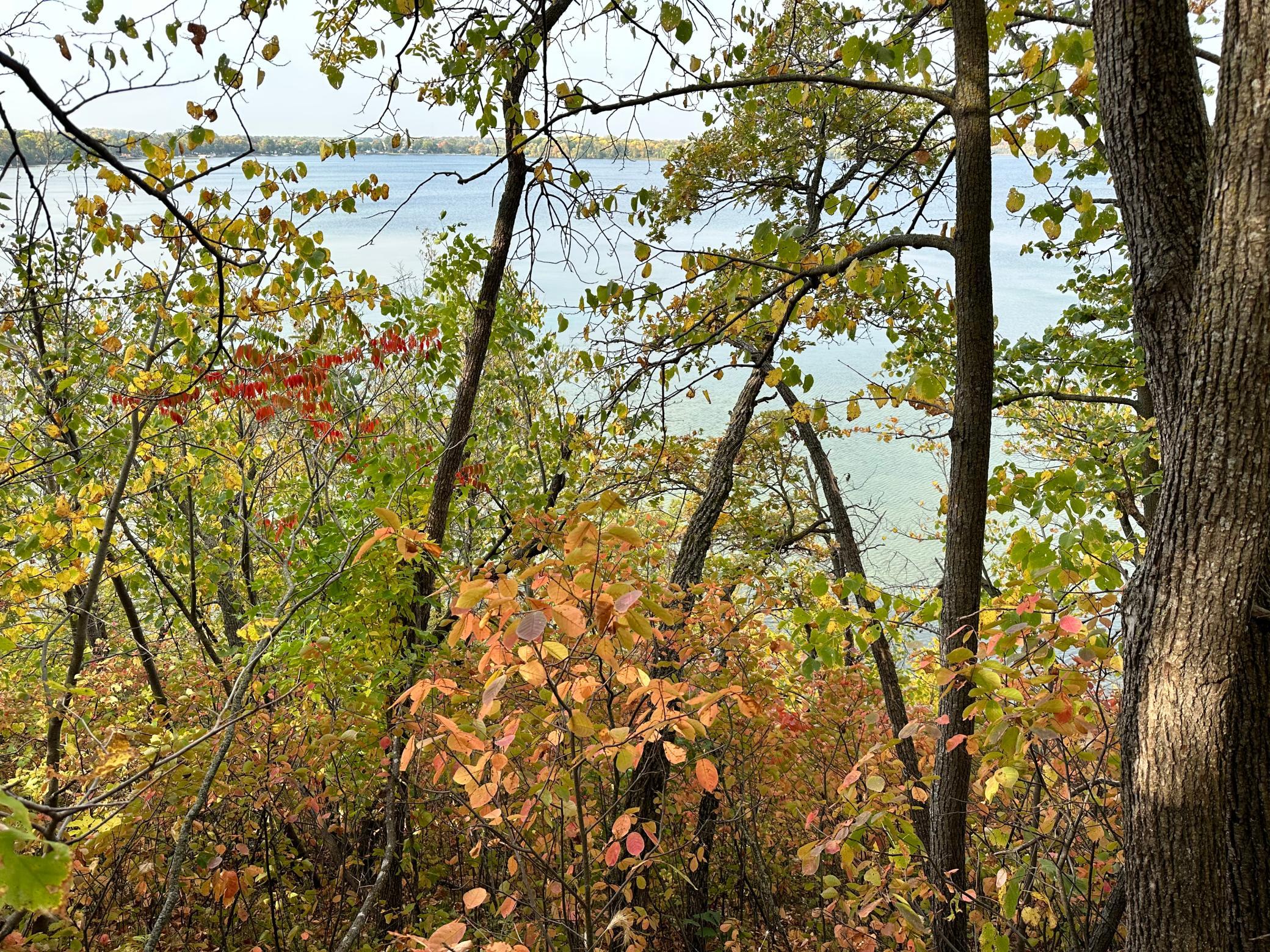 Tbd Wild Rose Trail Frazee, MN 56544 - Photo 20 of 25