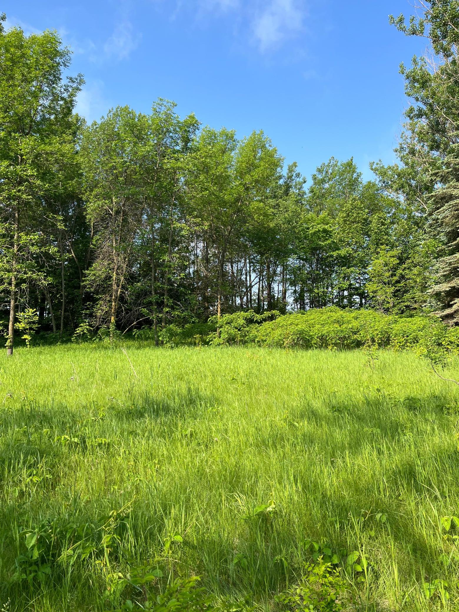 Tbd Wild Rose Trail Frazee, MN 56544 - Photo 2 of 25