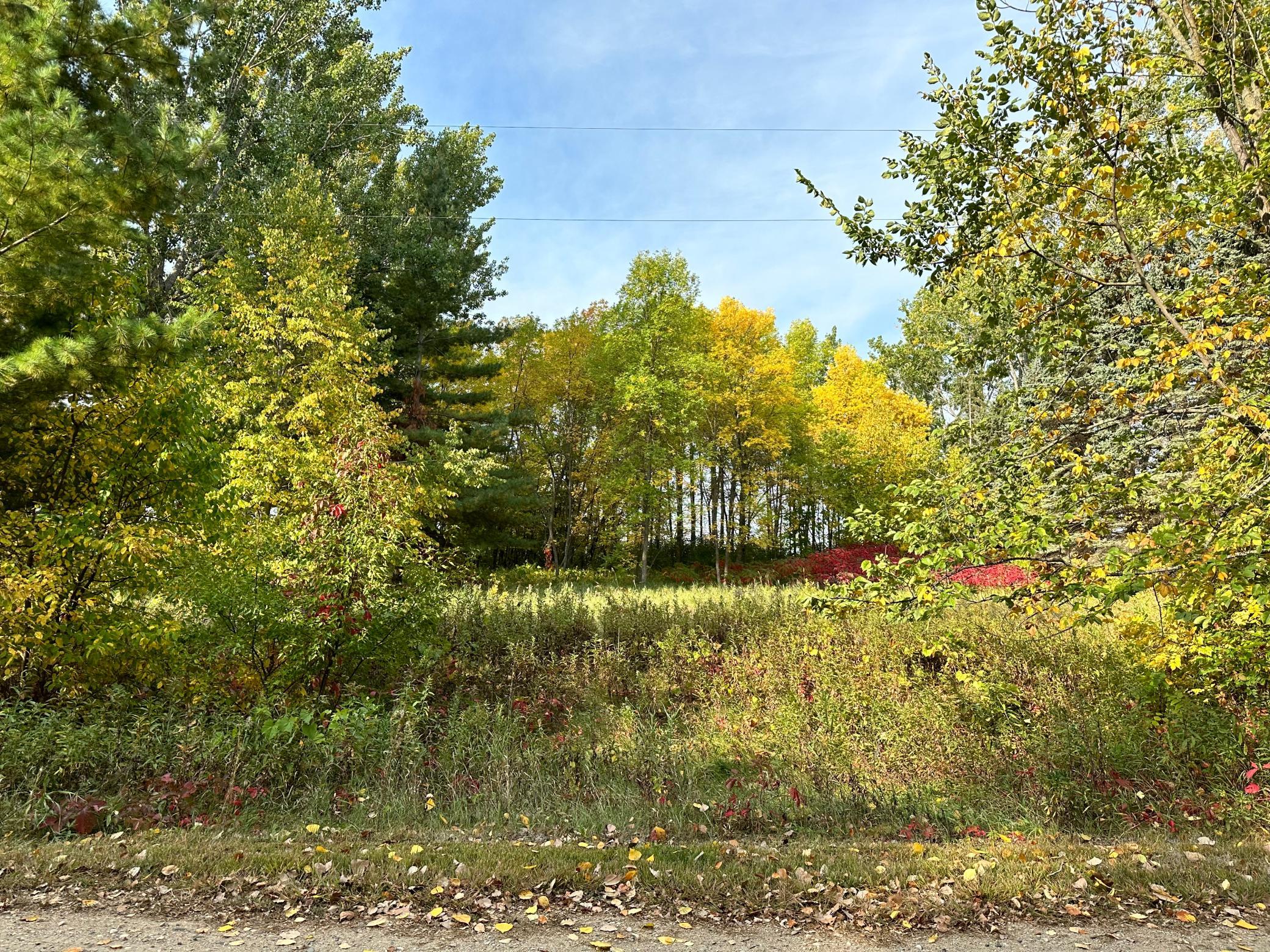 Tbd Wild Rose Trail Frazee, MN 56544 - Photo 21 of 25