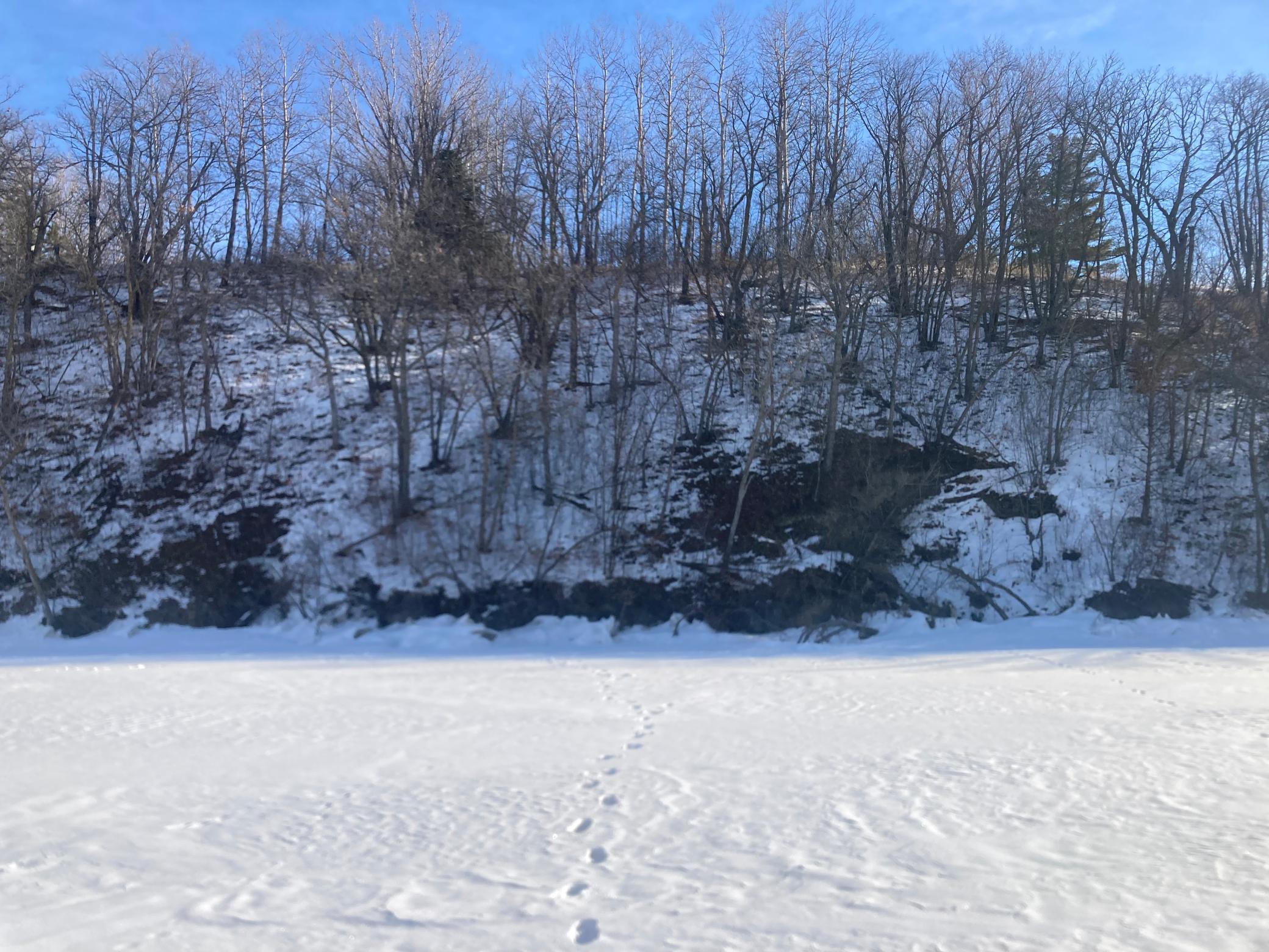 Tbd Wild Rose Trail Frazee, MN 56544 - Photo 25 of 25