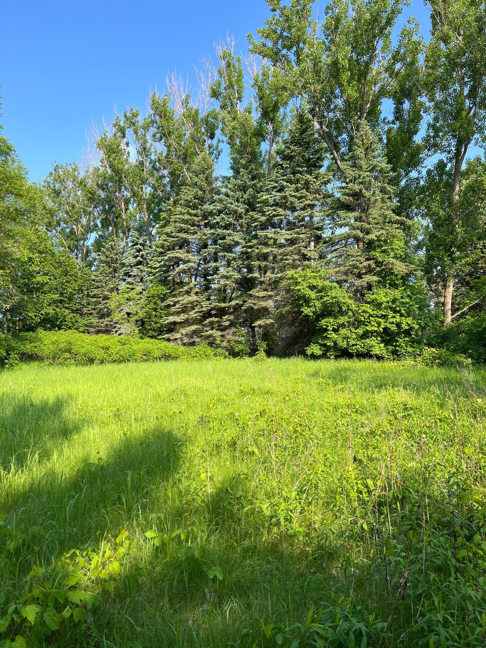 Tbd Wild Rose Trail Frazee, MN 56544 - Photo 3 of 25