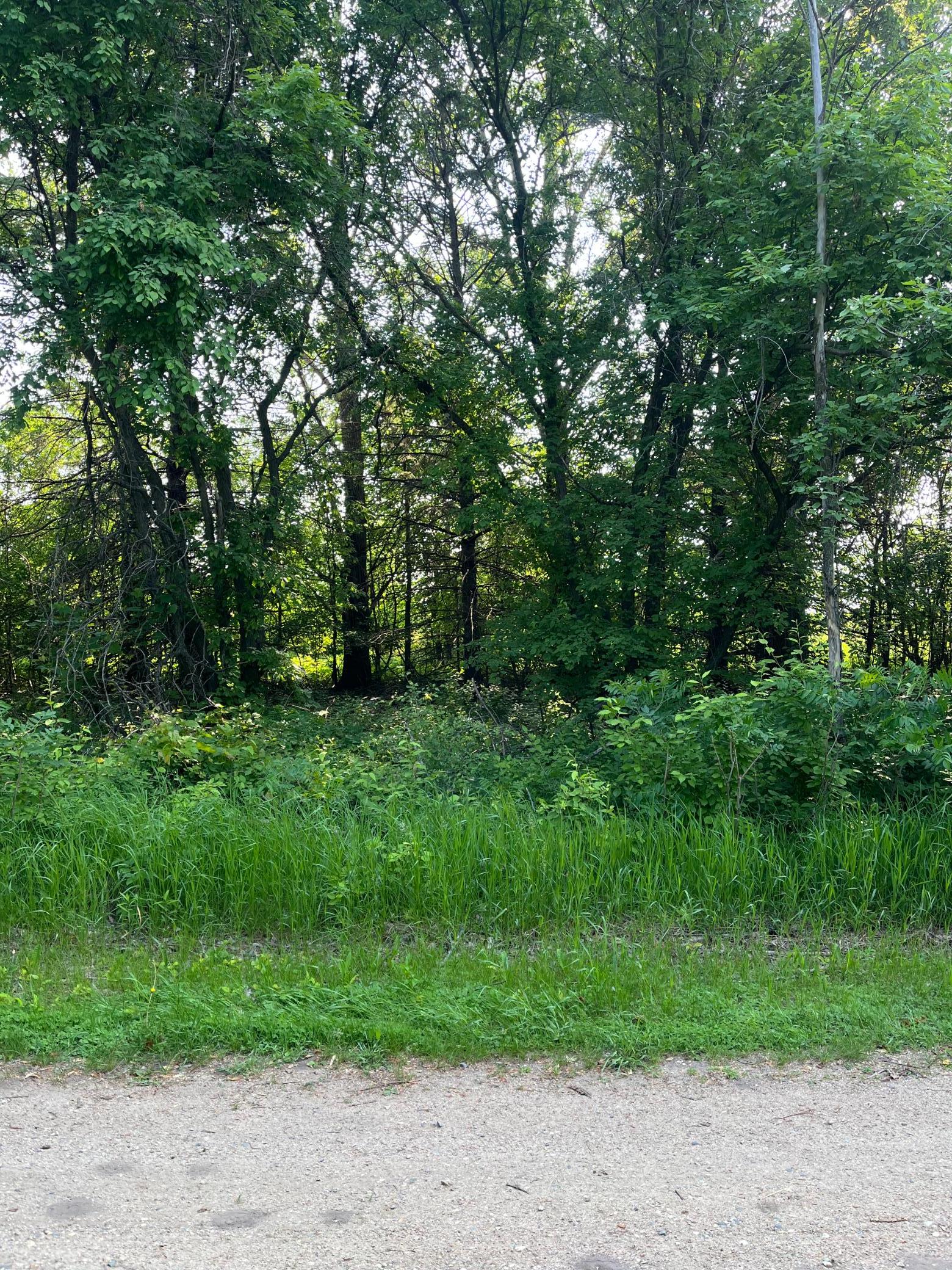 Tbd Wild Rose Trail Frazee, MN 56544 - Photo 4 of 25