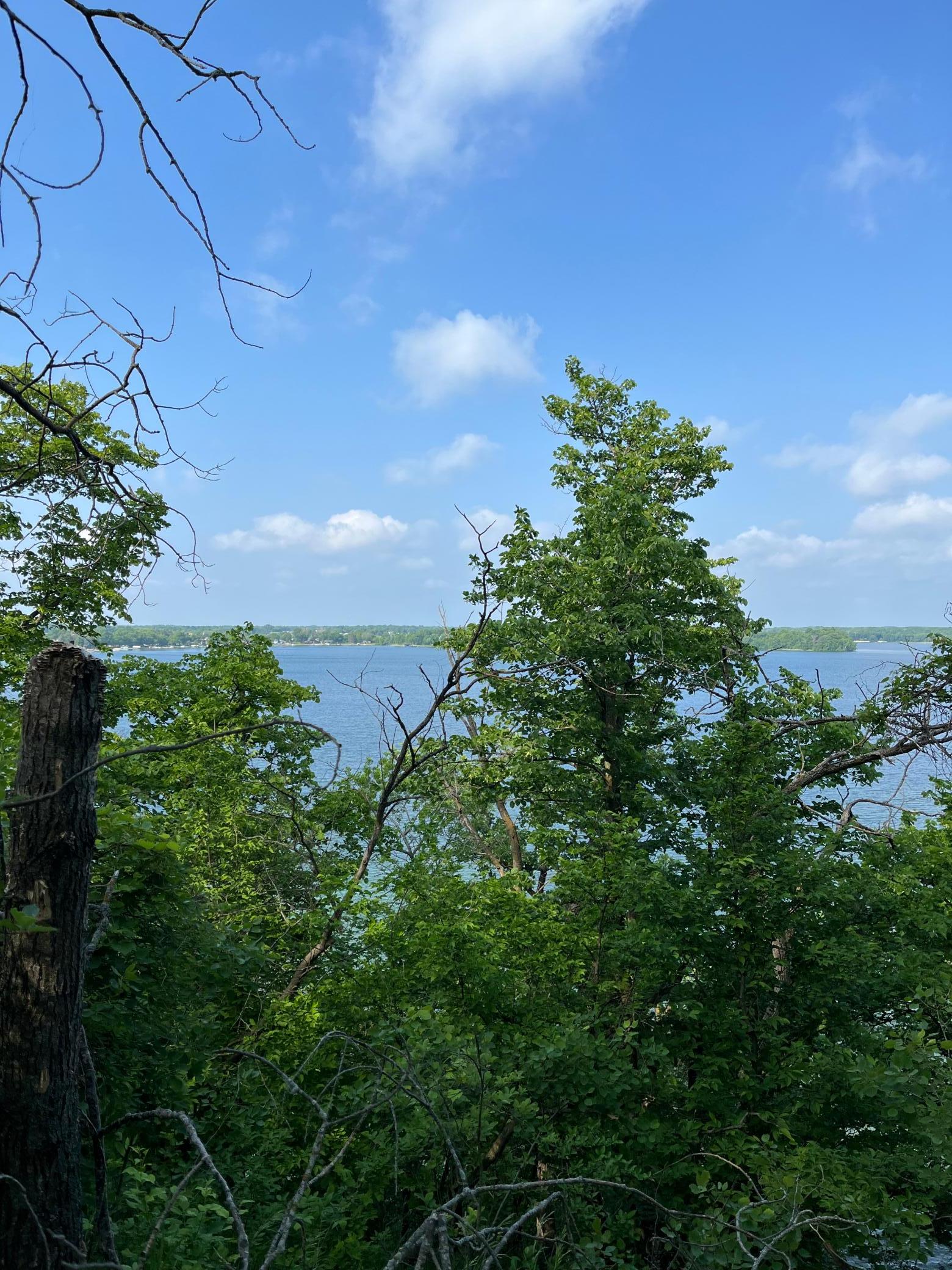 Tbd Wild Rose Trail Frazee, MN 56544 - Photo 6 of 25