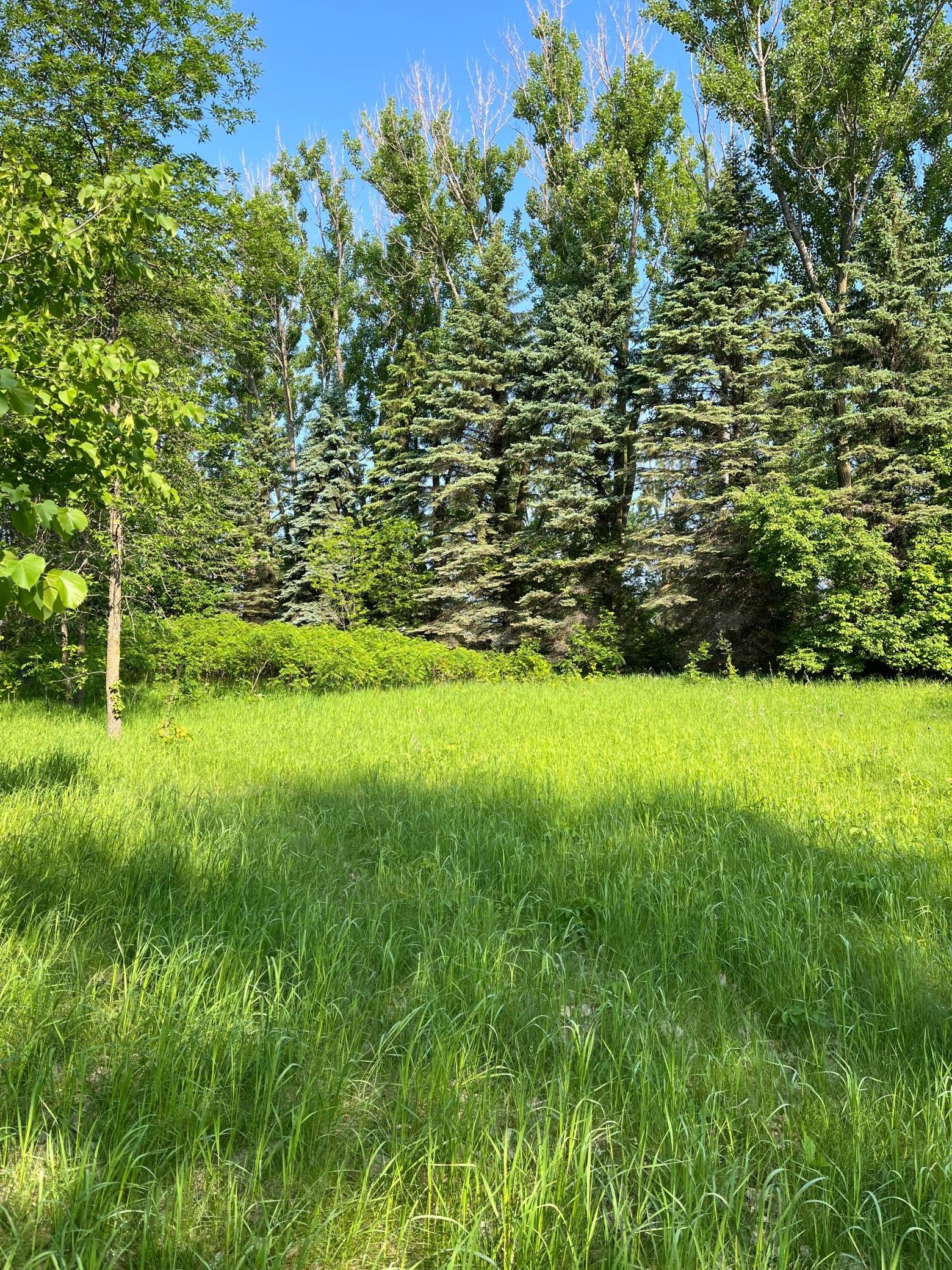 Tbd Wild Rose Trail Frazee, MN 56544 - Photo 7 of 25