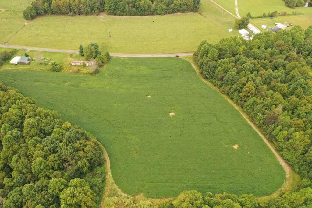 1235 Ewing Ridge Road Dunnville, KY 42528 - Photo 17 of 24 Gridler.9