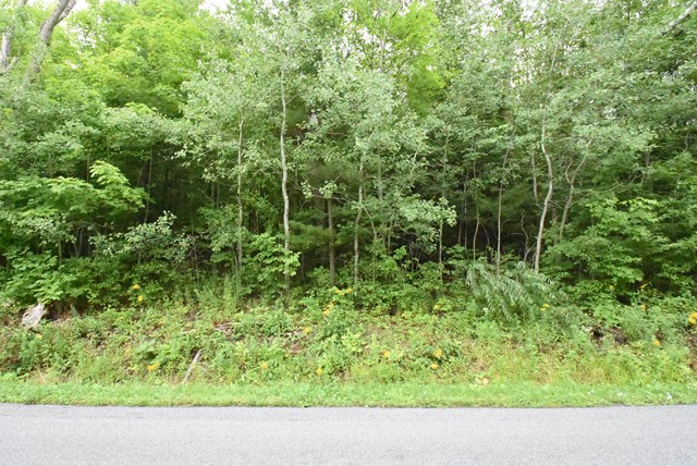 Lot 13 Hibbard Road Big Flats, NY 14814 - Photo 1 of 1