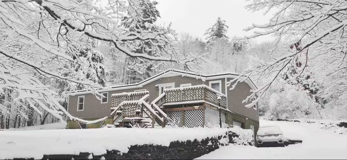 424 Moran Road Fleischmanns, NY 12430 - Photo 46 of 46 Property in winter