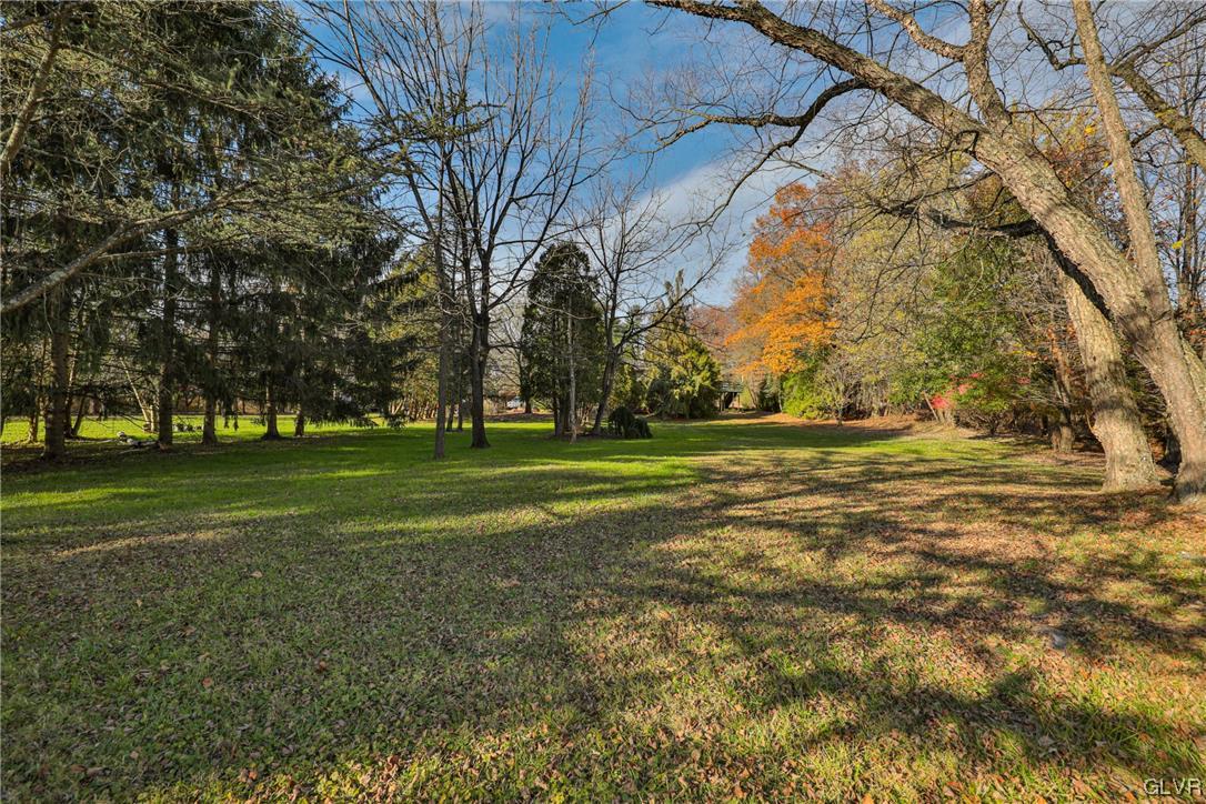 1288 Seifert Road Nazareth, PA 18064 - Photo 45 of 50 a view of yard with trees