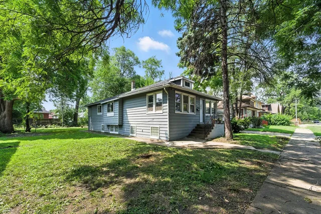 a backyard of a house with plants and large tree