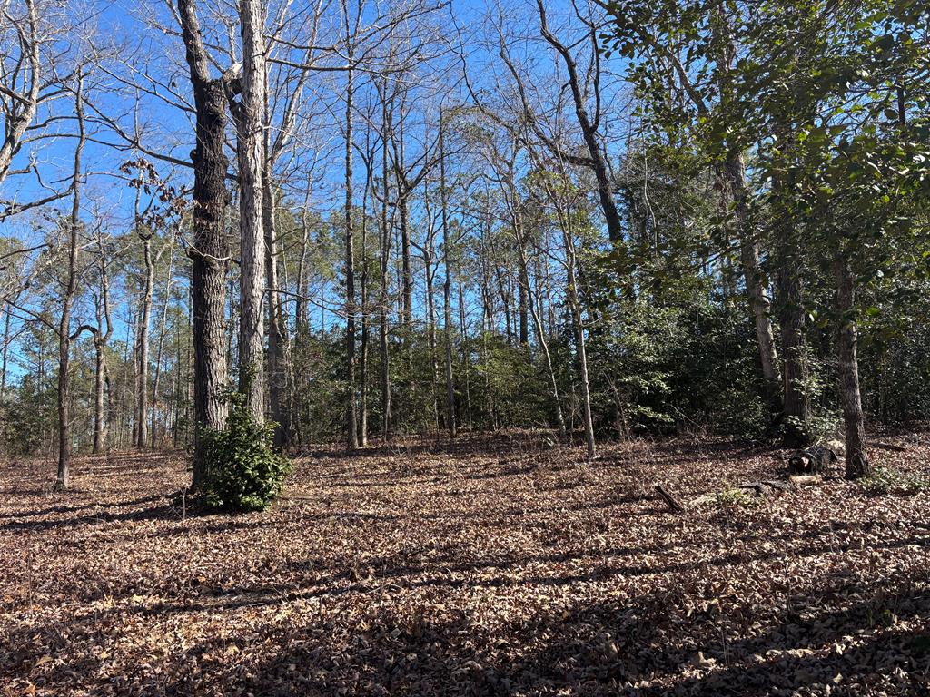 606 Herman Bell Road Mauk, GA 31058 - Photo 58 of 59 Gallery Image 58