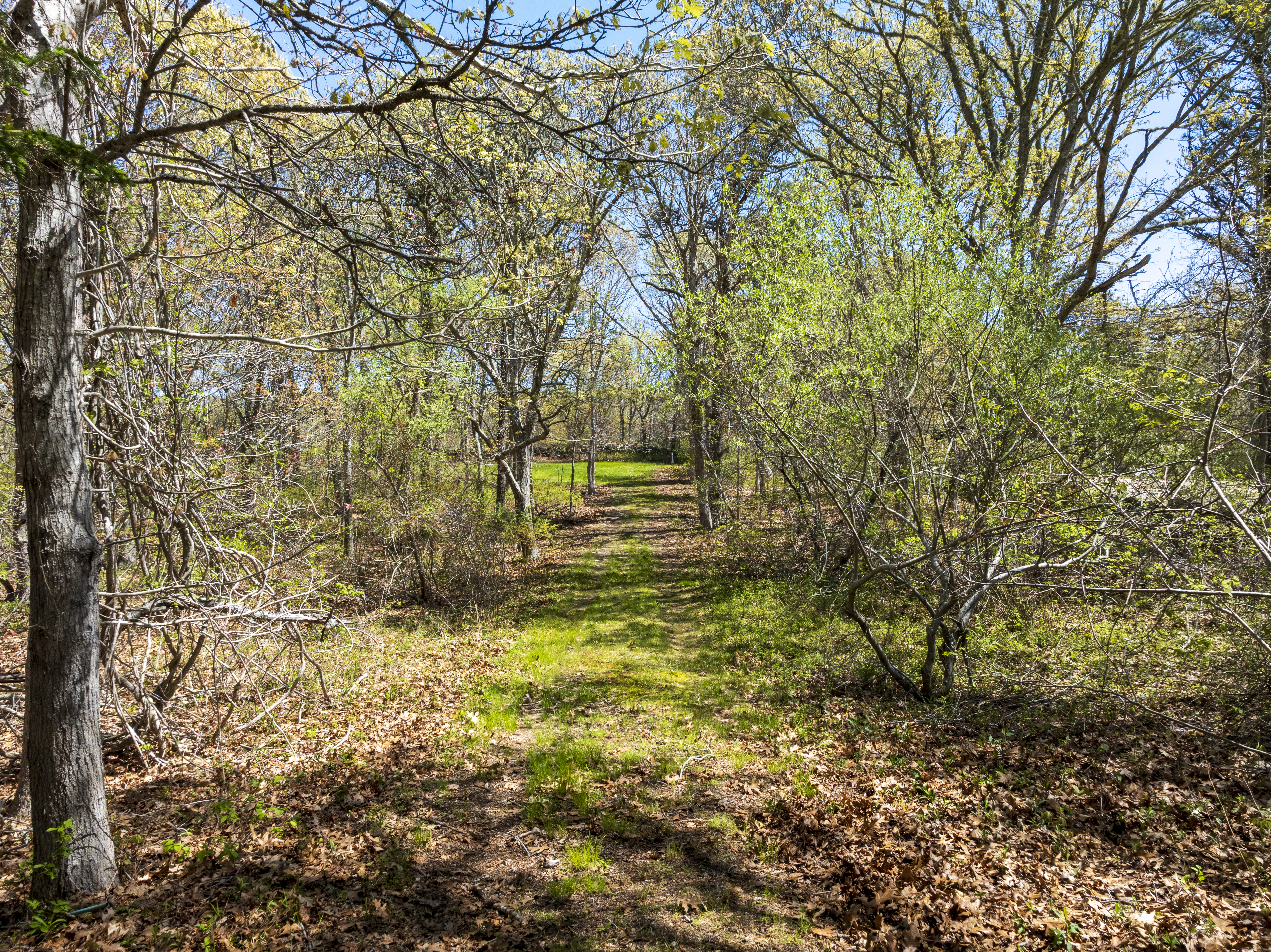 15 Menemsha Inn Road Chilmark, MA 02535 - Photo 8 of 11