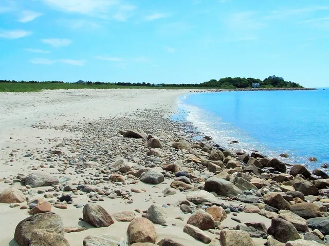 a view of a lake with a city