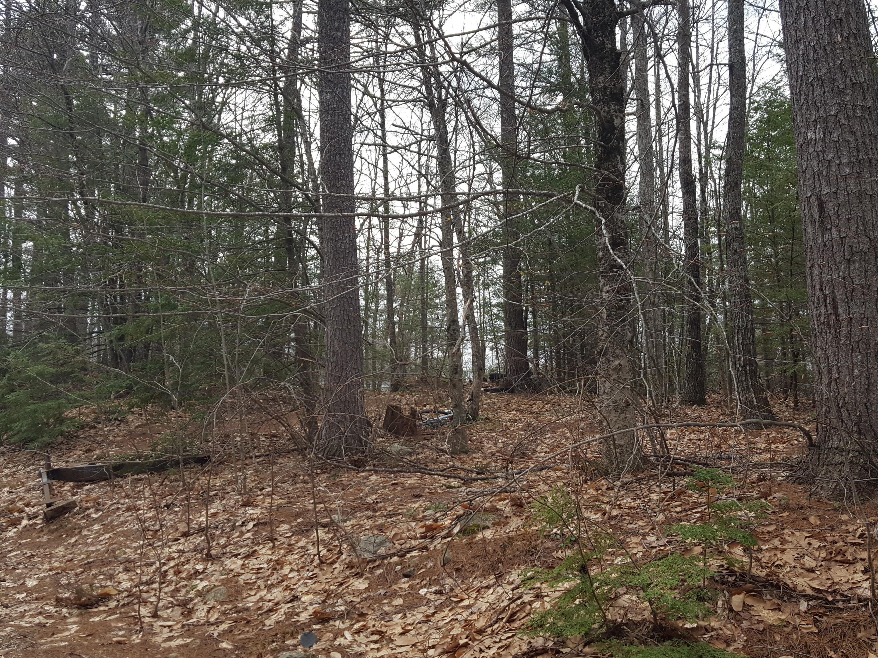 48 Higgins Hill Road Casco, ME 04015 - Photo 7 of 24 20230421_112127