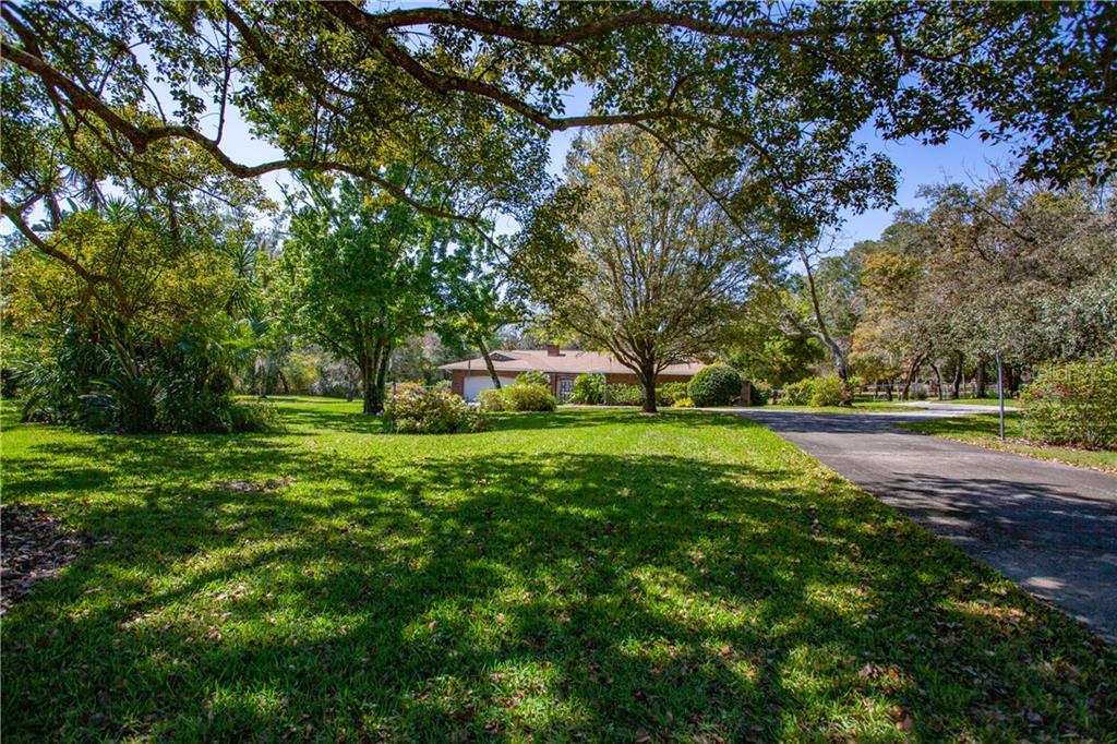 325 Westgate Road Tarpon Springs, FL 34688 - Photo 1 of 1 Front of House