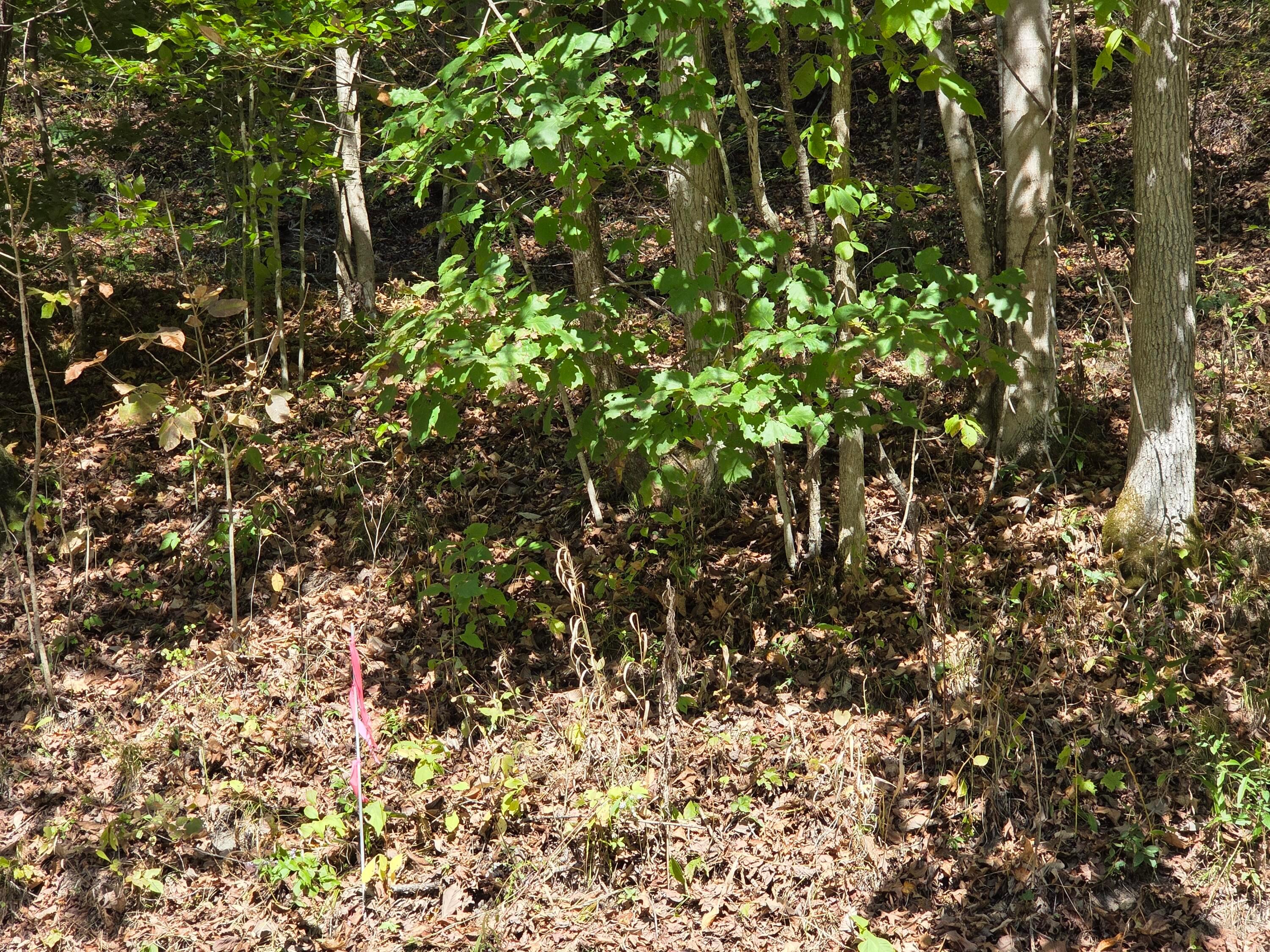 0 Newells Run Road Newport, OH 45768 - Photo 21 of 21 pic9