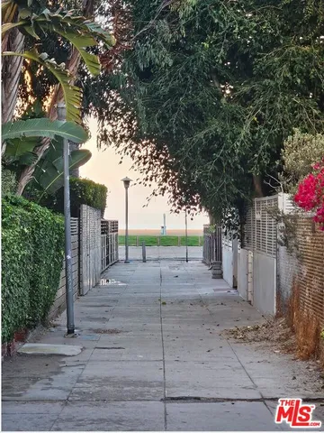 a view of a road with a large tree