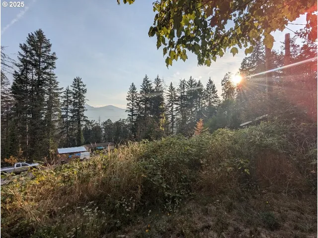 $95,000 | 48391 Roberts Road, Oakridge, OR 97463