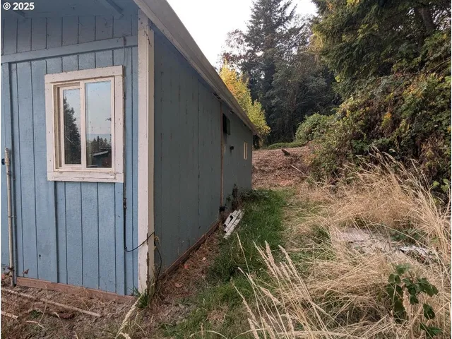 a view of a backyard