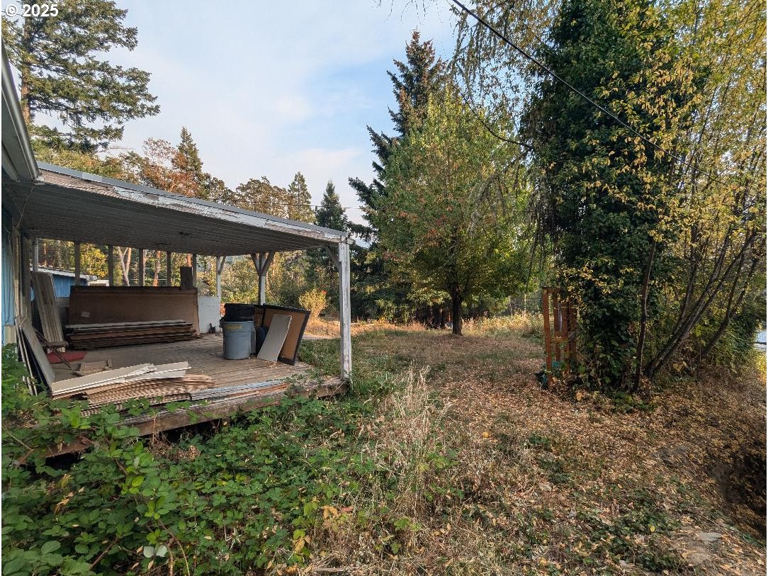 48391 Roberts Road Oakridge, OR 97463 - Photo 5 of 20 a view of backyard with large trees