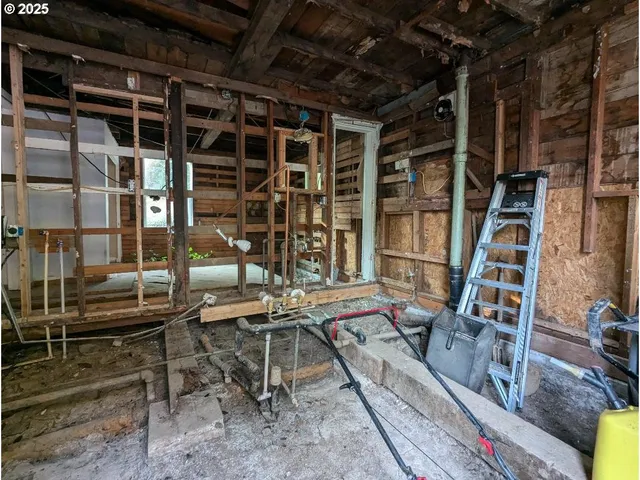 a front view of house with a garden