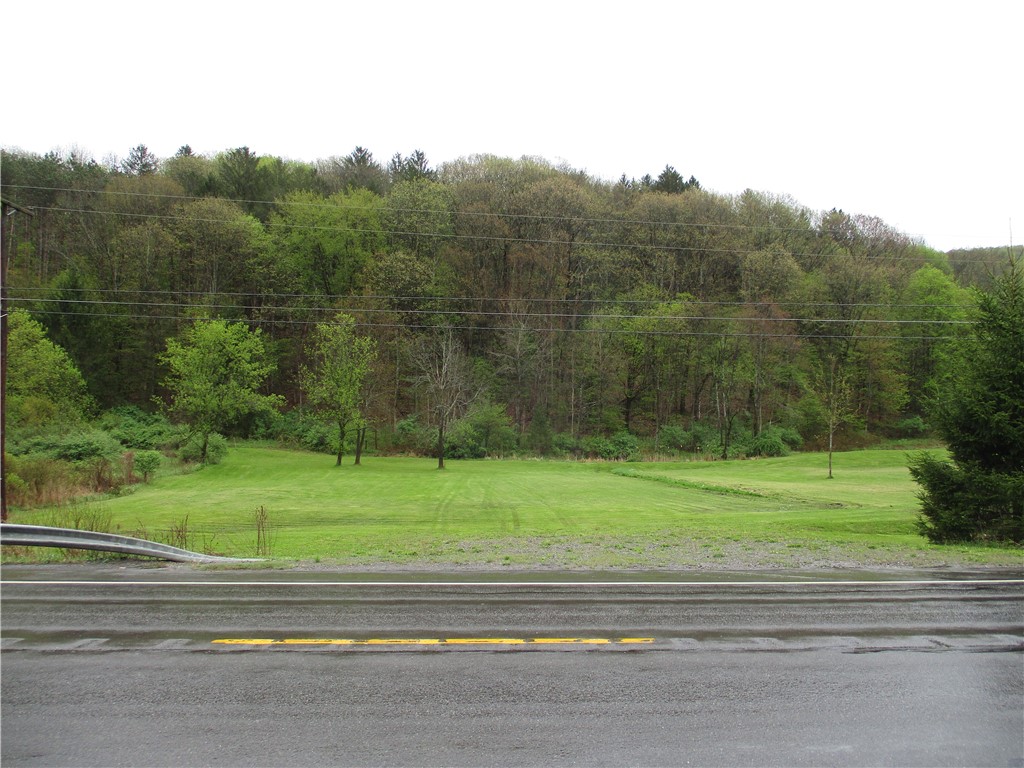 0 State Highway Sherburne, NY 13460 - Photo 2 of 7