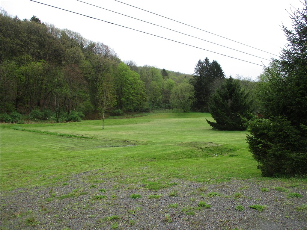 0 State Highway Sherburne, NY 13460 - Photo 4 of 7